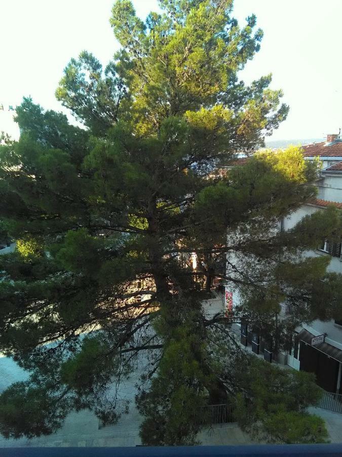 Apartment Sandra 2+2 *** Crikvenica Kültér fotó